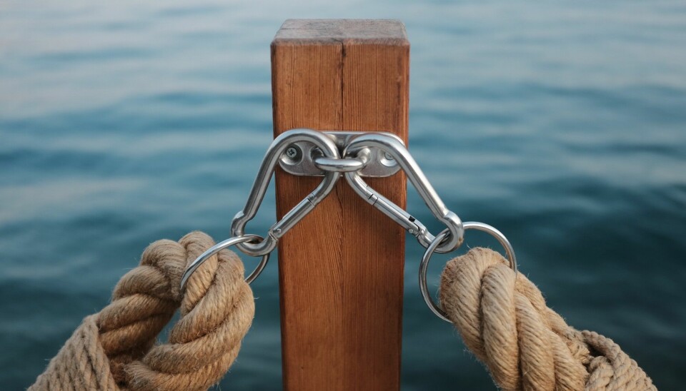 React sine Hooks lar deg hooke på funksjonalitet. 📸: Efe Kurnaz / Unsplash