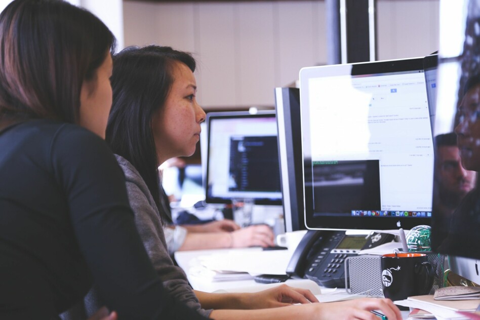 📸: Startup Stock Photos / Pexels