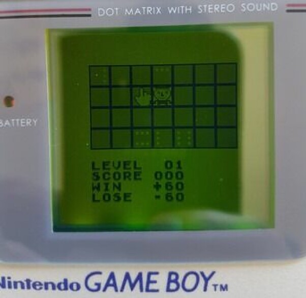 Slik ser spillet til Tobias ut på Game Boy. 📸: Privat