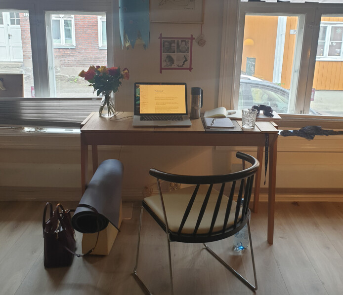 Slik ser arbeidsplassen til Benedicte ut. 📸: Privat