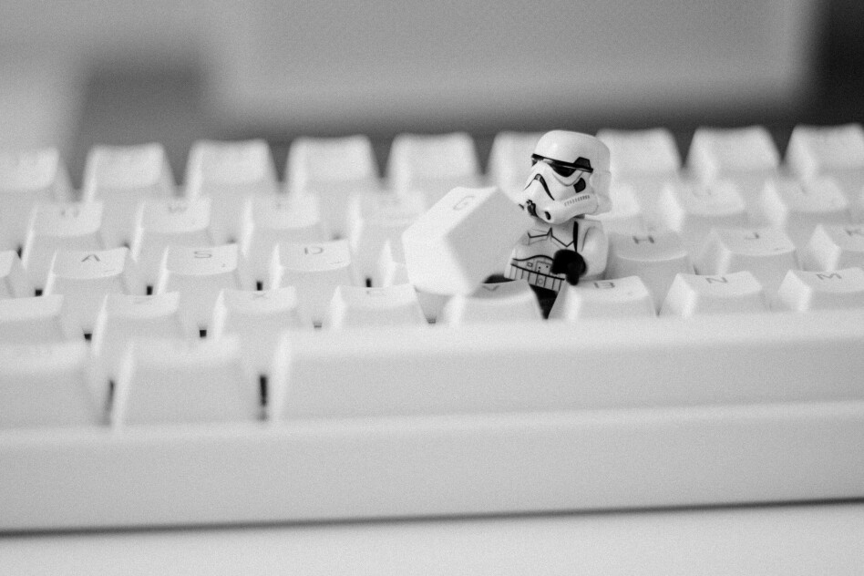 📸: James Pond / Unsplash