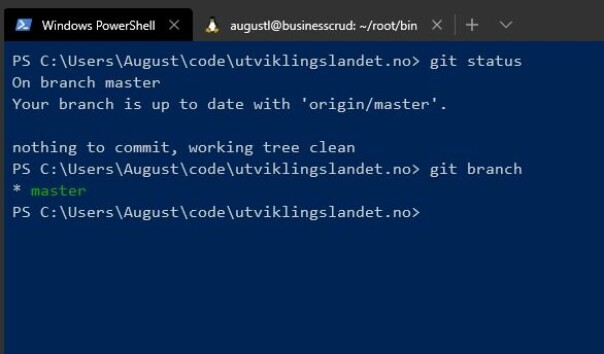 Windows Terminal i Preview-utgave. 📸: August Lilleaas