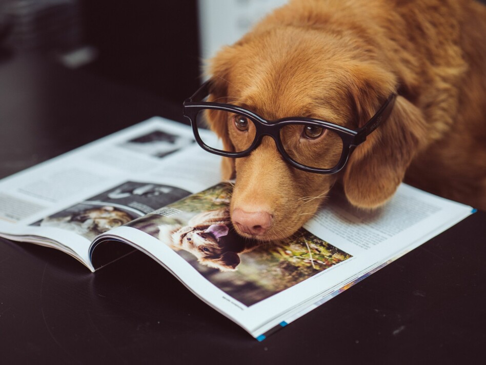 📸: Jamie Street / Unsplash