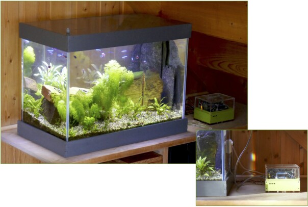 Akvarium og styringsboks. 📸: Øyvind Teig