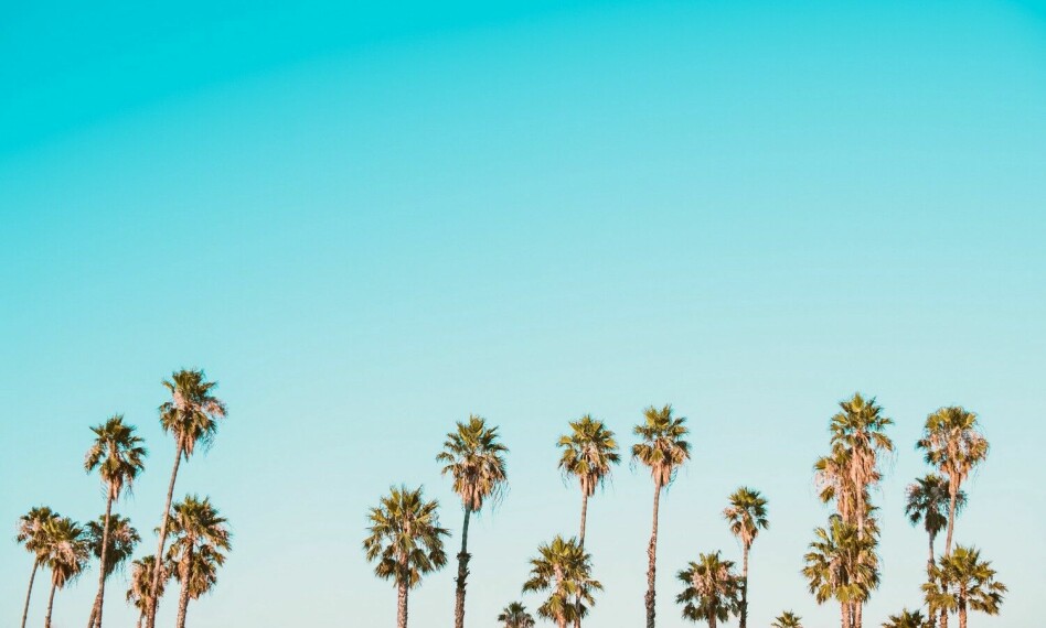Det er jo sommer ☀️ ️ 📸: Corey Agopian / Unsplash.
