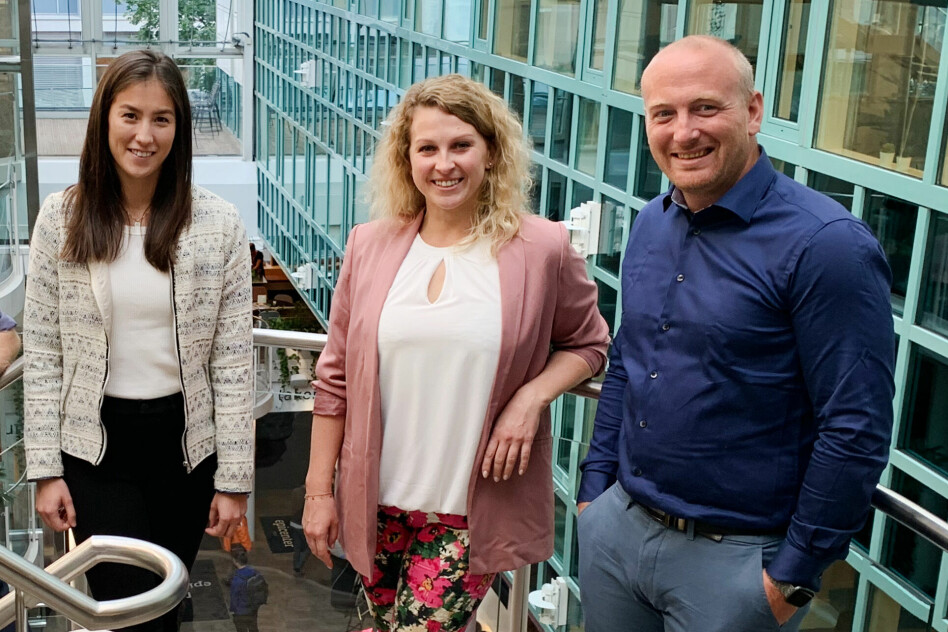 Marianne Melhoos, Joanna Matyjas og Joachim Bjerke er nye .NET-utviklere hos Webstep i Oslo. 📸: Webstep