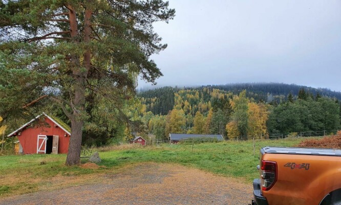 Nydelig utsikt fra småbruket på Flisa. 📸: Privat