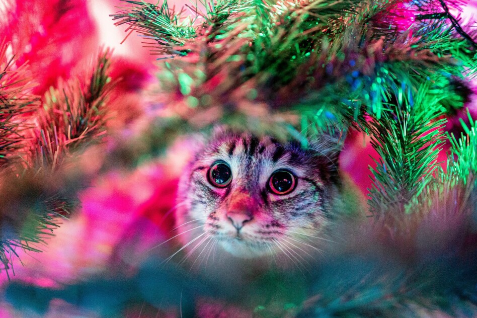 📸: Andréas BRUN / Unsplash
