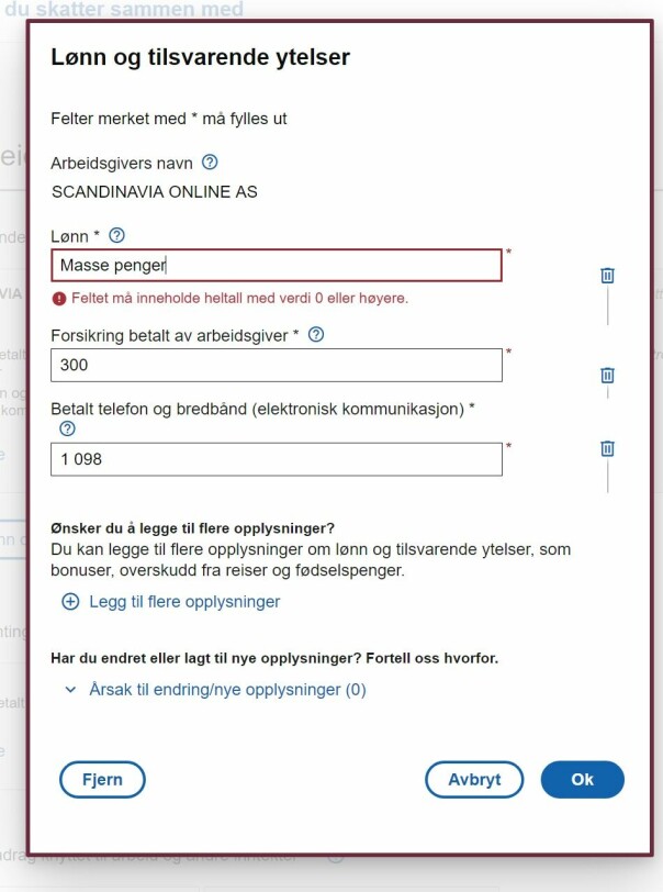 Feilmeldinger knyttet til lønnsfeltet er en av feilene Tilsynet mener ikke er tilgjengelig nok. 📸: Jørgen Jacobsen
