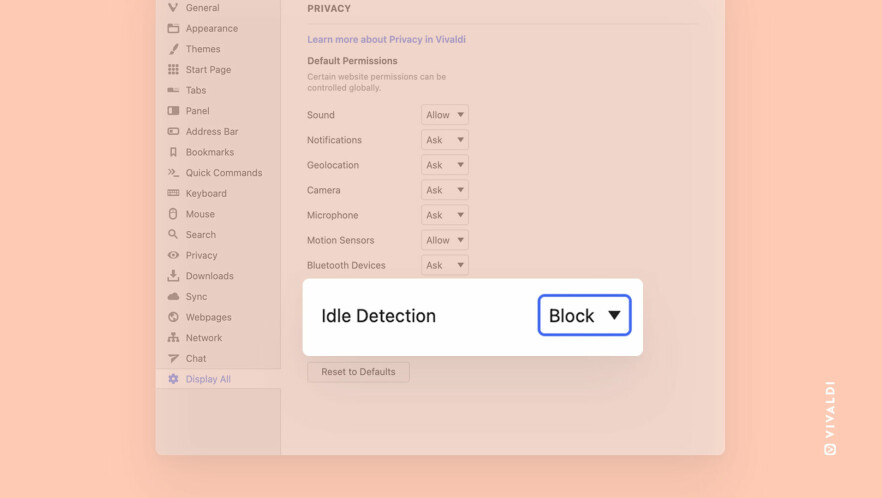 Nettleseren Vivaldi blokkerer Idle Detection API-et som standard.
