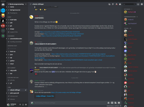 Discord-veteranene forteller at de ser mange medlemmer gå fra hobbykodere til proffe utviklere, og at serveren hjelper mange på veien - Norsk Programmering byr på alt fra kodehjelp til jobbannonser.