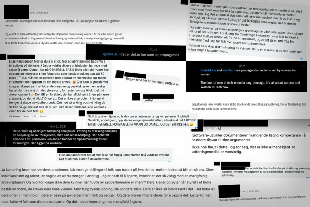 'Et lite utdrag kommentarer man får om man våger å påstå at biologi er en dårlig unnskyldning for manglende kjønnsbalanse i IT-bransjen.'