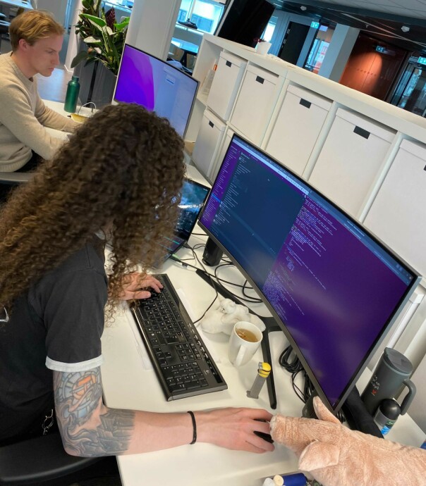 - I korte trekk er det vel å være en slags teknisk foregangsfigur, forteller tech lead-en. 📸: Maud Rødsmoen