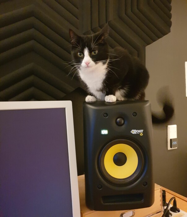 Katter og lyd er begge deler noe Iver Jordal setter pris på. 📸: Privat