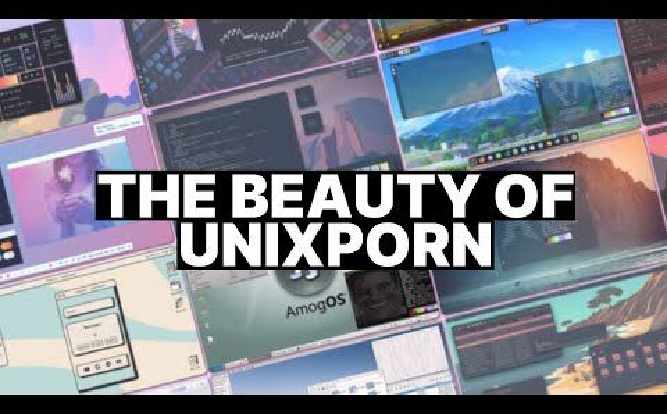 The Phenomenon of r/unixporn