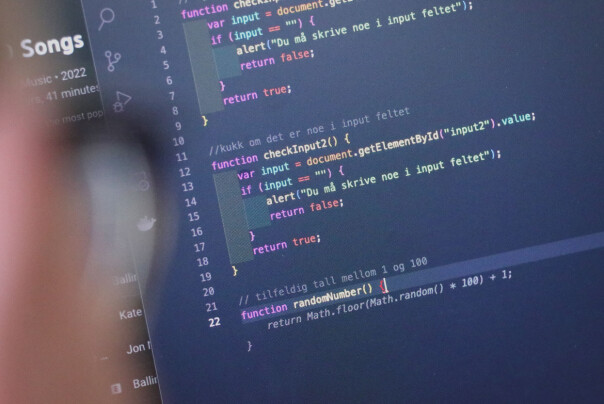 GitHub Copilot fungerer på norsk, med både vanlige og litt mer... rare, forespørsler. Han er langt over snittet glad i input-validering i nettskjemaer, virker det som. 📸: Ole Petter Baugerød Stokke
