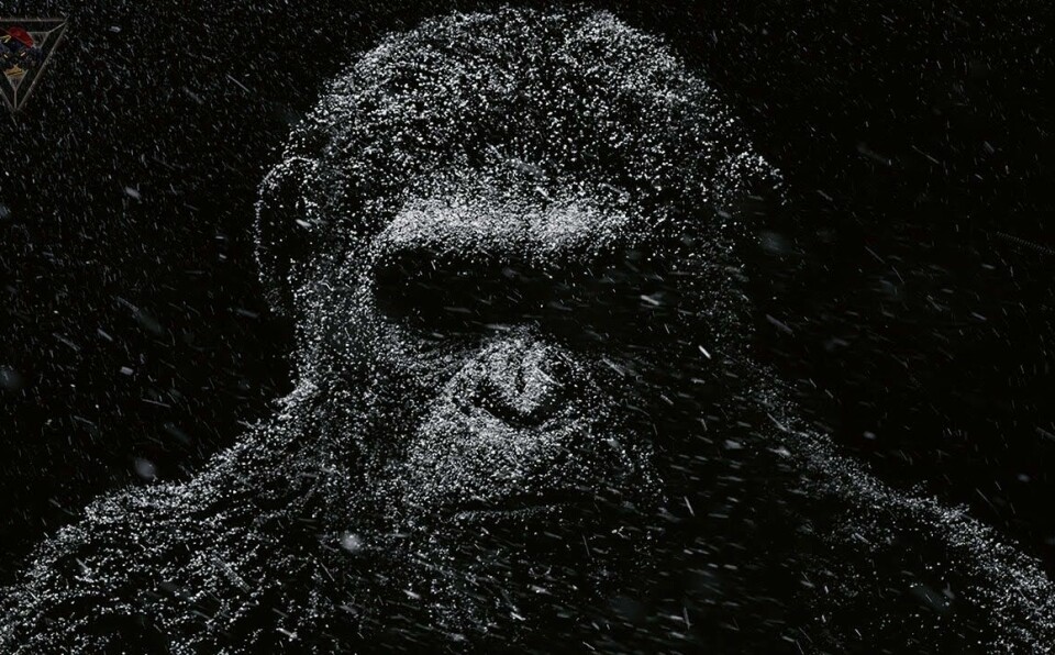 Dark Minimal Techno Trip Live Radio 24/7 Dark Monkey Music