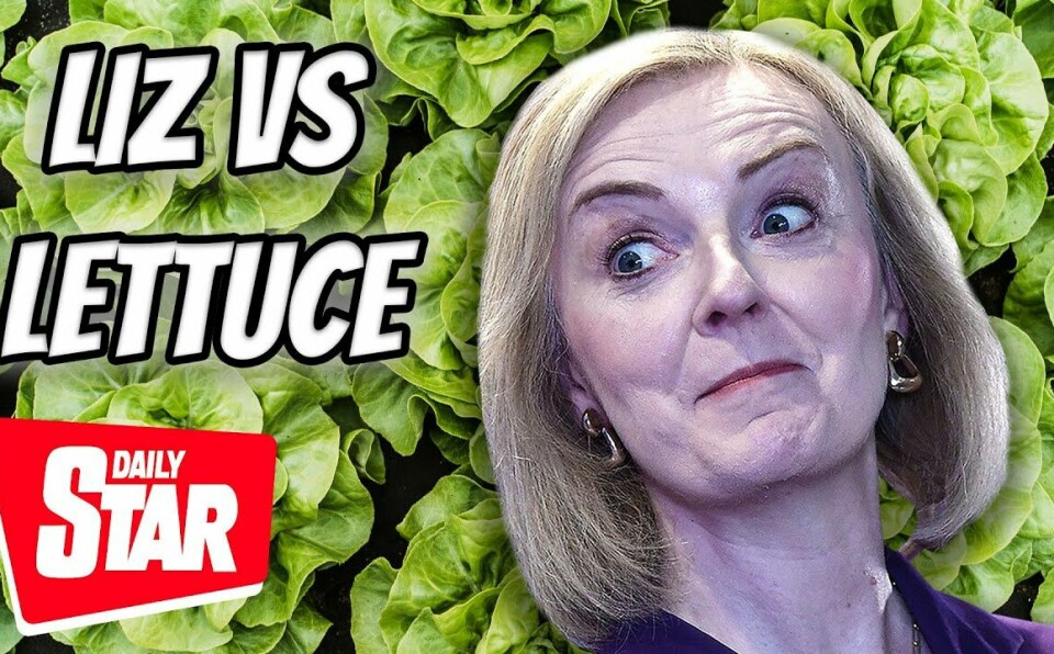 LIVE: Can Liz Truss outlast a lettuce?