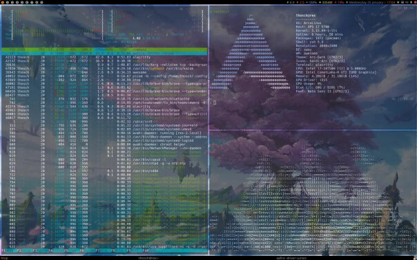 Dynamic tiling window manageren Awsome