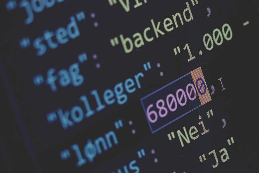 I år kan du få kode24s lønnstall som JSON, om du vil - eller du kan bare boltre deg som du vil med regnearket vårt. 📸: Ole Petter Baugerød Stokke