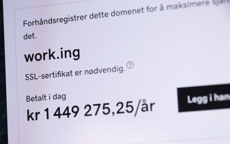 Det er nå mulig å forhåndsregistrere domener under .ing. Men noen av de mest attraktive domenene kan koste deg dyrt. 📸: Kurt Lekanger