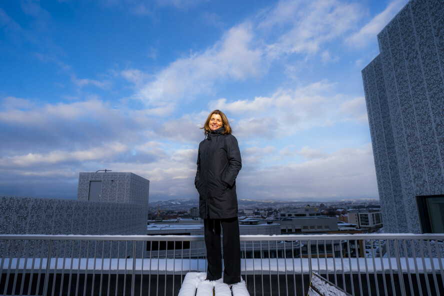 – Vi har sett en gledelig bedring over tid, sier skattedirektør Nina Schanke Funnemark. 📸: Håkon Mosvold Larsen / NTB