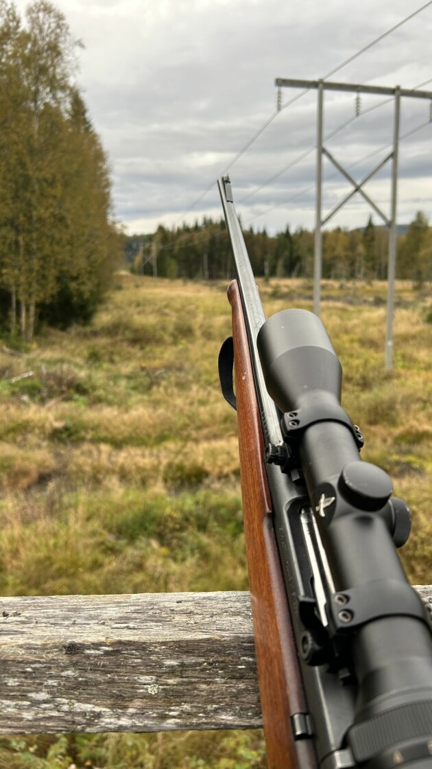 'Jeg bruker også en Husquarna-rifle med Swarowski-kikkertsikte for å skaffe meg mat — én elg, og hele familien spiser økologisk kjøtt et år.'