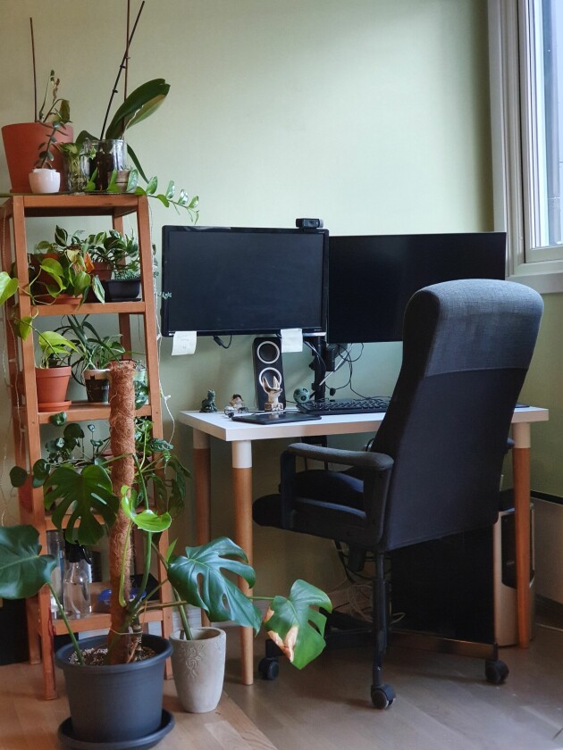 Hjemmeoppsett. Her har jeg massevis av planter!