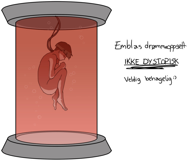 Mitt drømmeoppsett. Her har jeg ingen kroppslige behov og kan snakke direkte med en datamaskin, det hadde vært drømmen.
