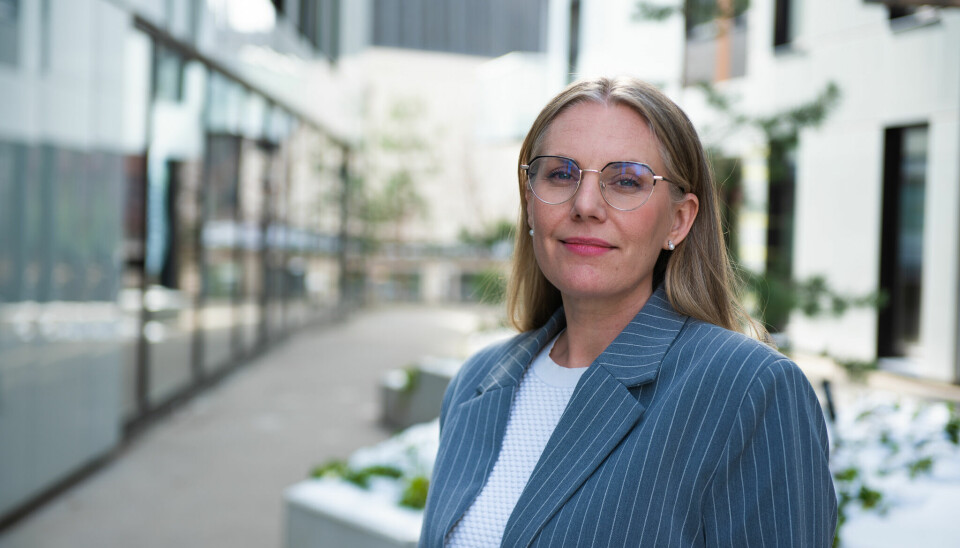 Bouvet har fått seg en ny leder av sin designavdeling – Trine Harnes.