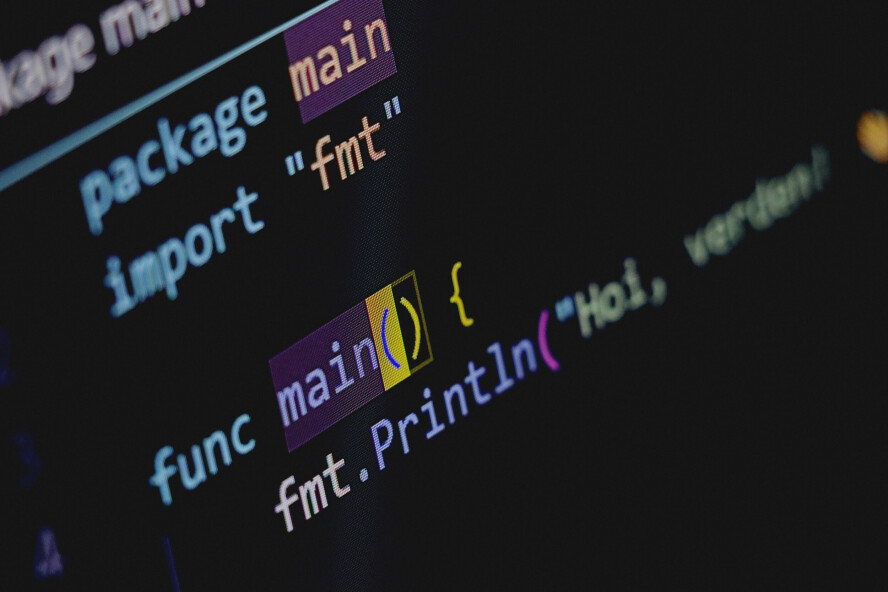 Språket Go har fått mange trofaste brukere de siste åra, men skal du jobbe med AI, er det mye som er enklere i Python. 📸: Ole Petter Baugerød Stokke