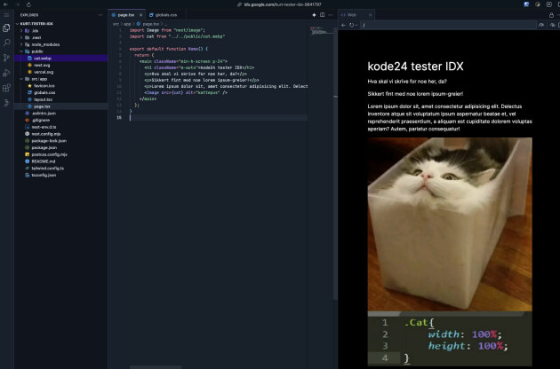 Selv om IDX kjører VS Code i nettleseren og alt ligger i skyen, behøver du ikke endre på vanene dine – det meste er temmelig likt det å jobbe lokalt.