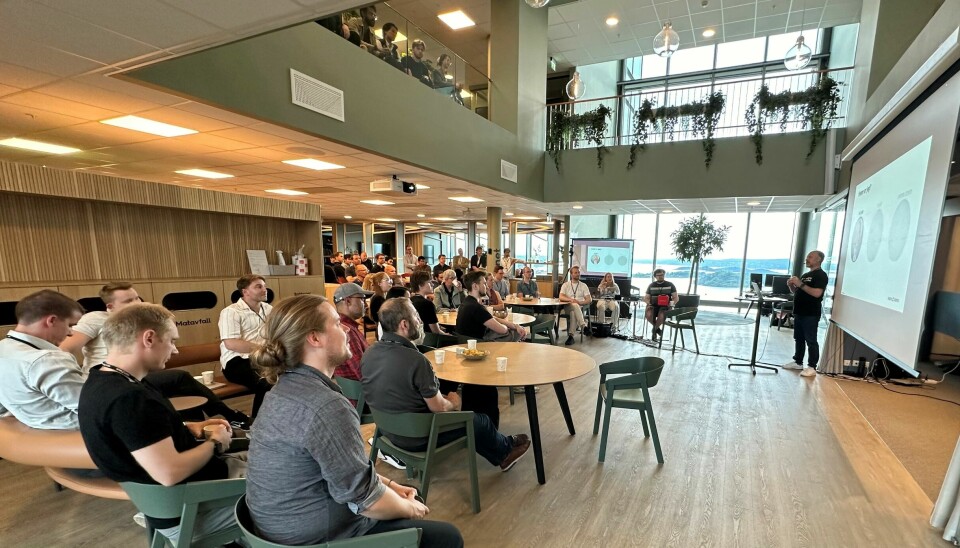 Bytefest - Systemutviklernes Woodstock?