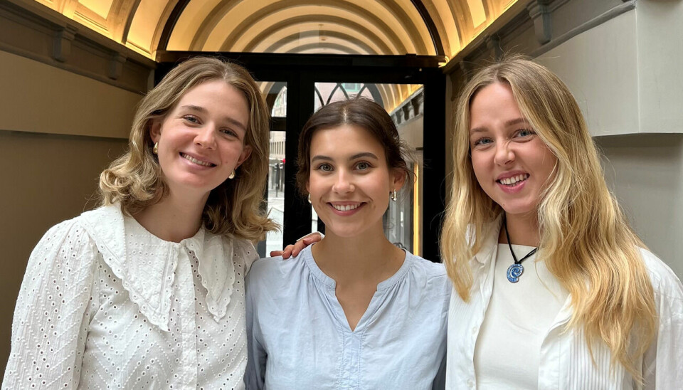 Summer internship i Netcompany: Bli kjent med Elise, Eva og Signe