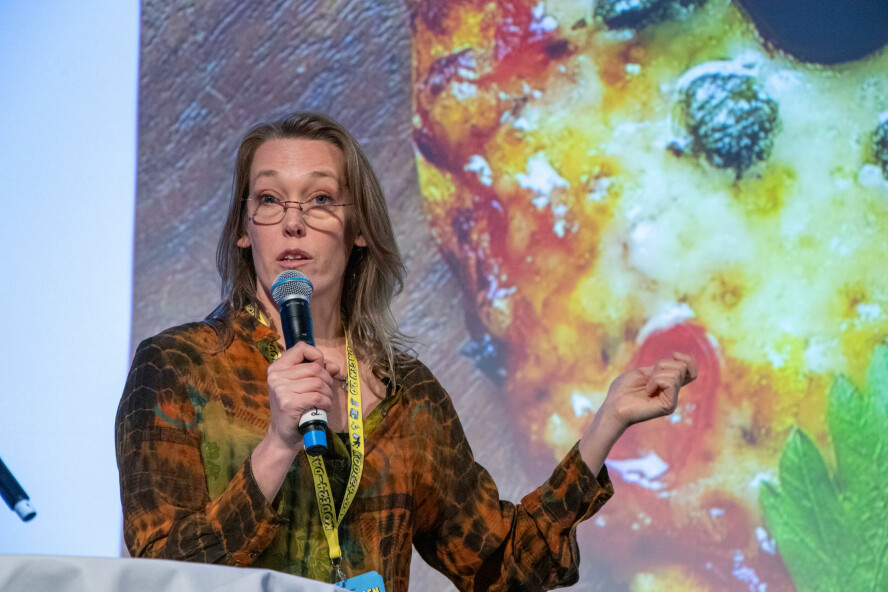 Christin Gorman mener AI-fokuset bidrar til å hindre effektivisering med mer egnede IT-løsninger. 📸: Kurt Lekanger