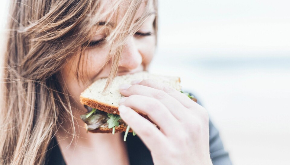 Skader du deg mens du spiser lunsj på hjemmekontoret, kan jobben din nekte å hjelpe deg. 📸: Gardie Design & Social Media Marketing / Unsplash