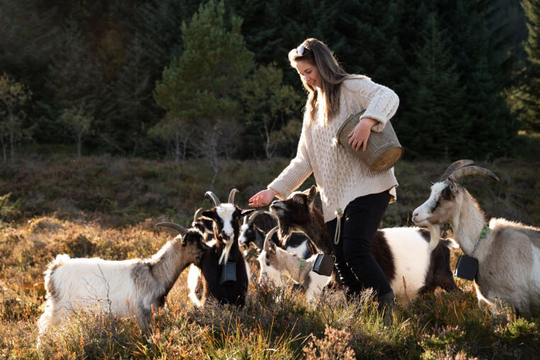 Ada Elise 'kodebonden' Håberg elsker både gårdsdrift og koding – og valgte å kombinere interessene. 📸: Helle Frogner / Kodebonden