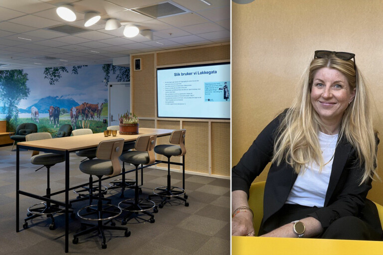 Stina Korsbøen, direktør for IT Forretningstjenester i Tine. Bildet til venstre er fra den sosiale sonen. 📸: Tine