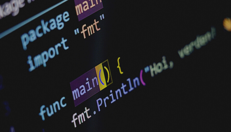 Programmeringsspråket Go velges av stadig flere som lager API-er. 📸: Ole Petter Baugerød Stokke