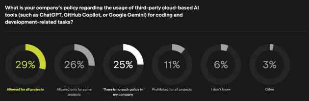 📸: JetBrains State of Developer 2024