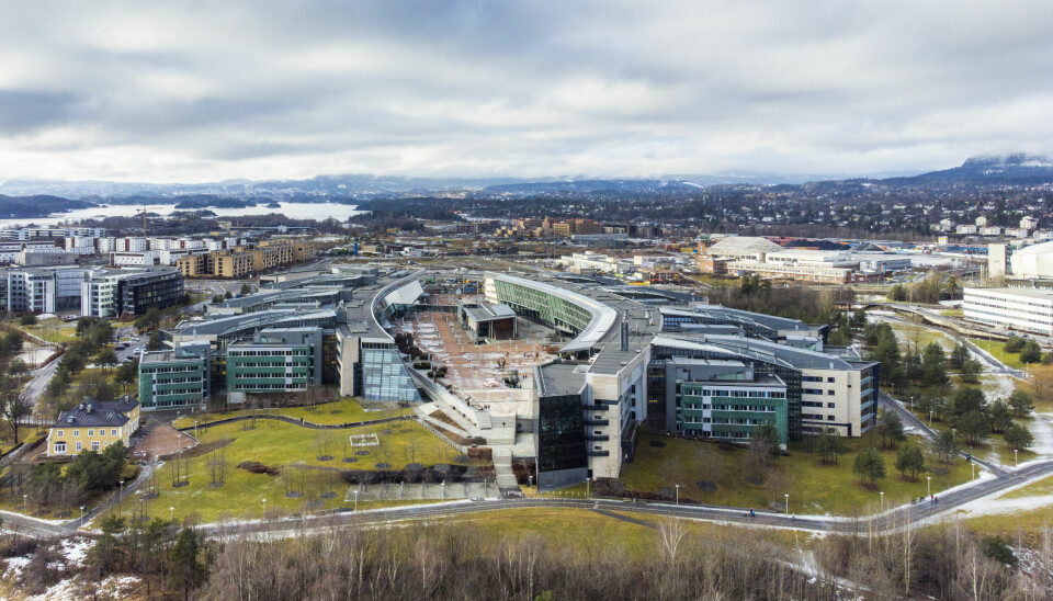 Hovedkontoret til Telenor på Fornebu i Bærum. 📸: Håkon Mosvold Larsen / NTB