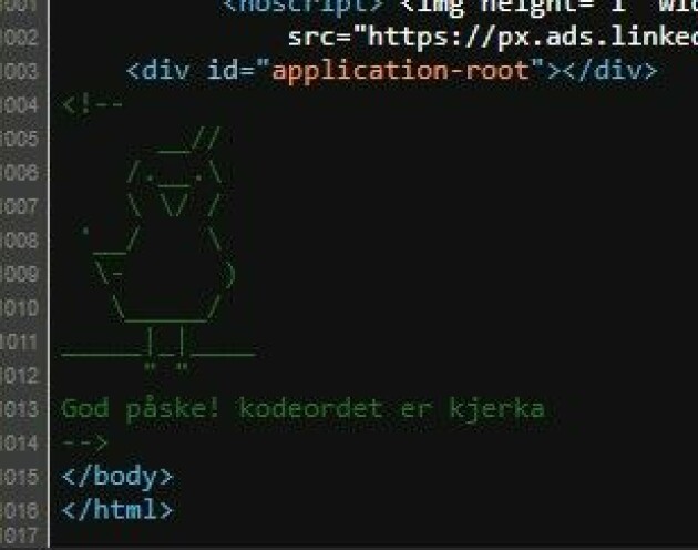 En søt kylling i HTML-en til kode24.no.