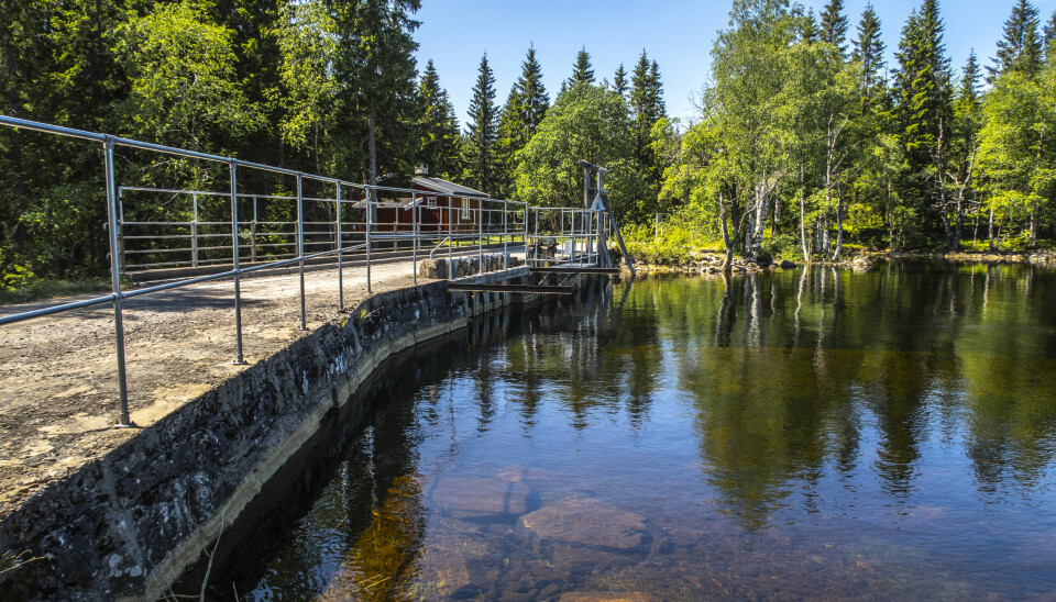 Hackere hadde kontroll på minstevannføringen ved en dam i Bremanger i april. Selv om en ventil ble åpnet til 100 prosent, førte det likevel ikke til stor dramatikk. Illustrasjonsbilde fra en rolig dag ved Helgeren i Nordmarka.📸: Halvard Alvik / NTB