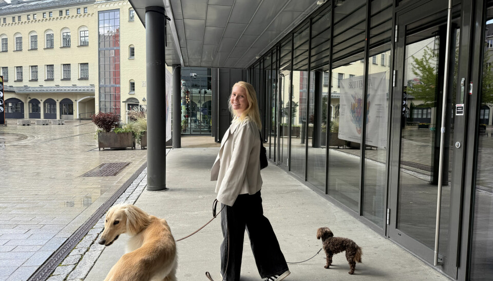 Nina Andal Aarvik er frontendutvikler hos Folio.