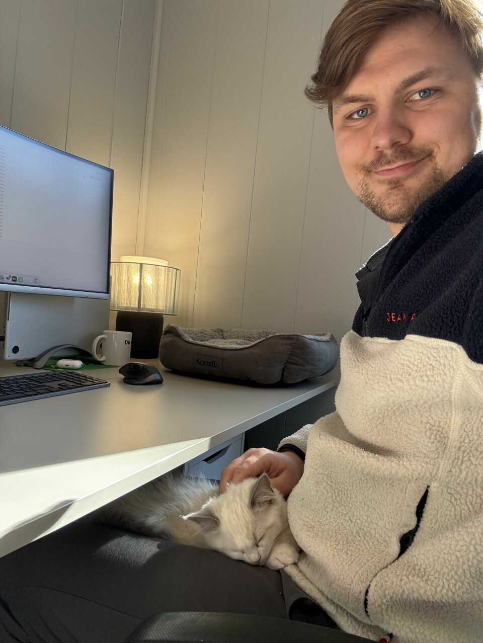 De fleste bildene fra hjemmekontoret er med katten. 😸