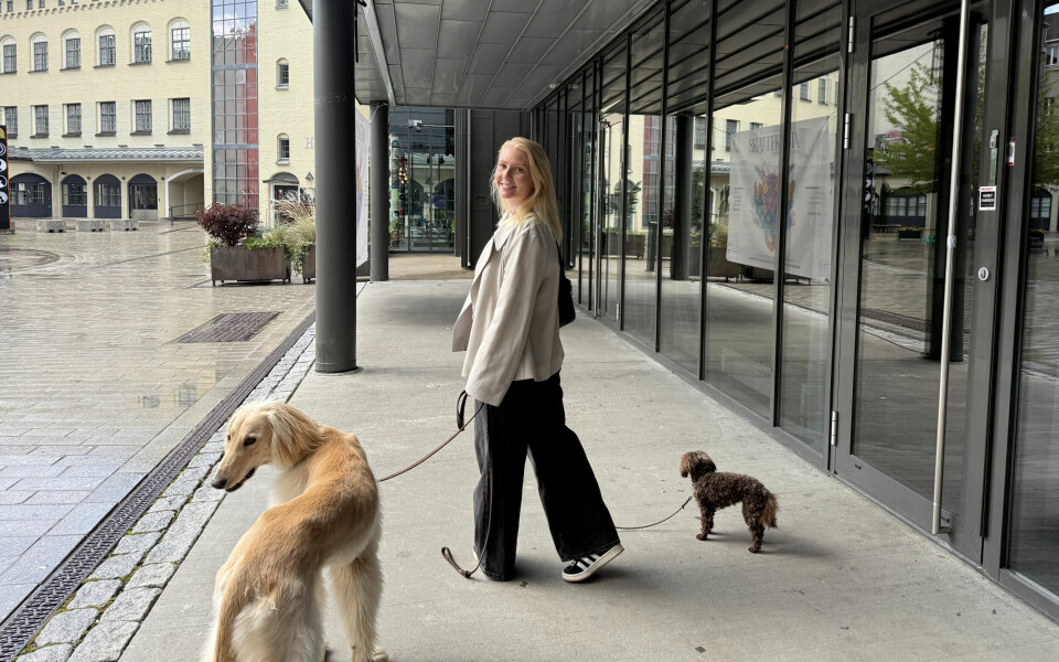 image: {Article.title}